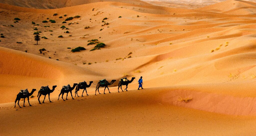 Marrocos: Deserto, Aromas e Terapias Milenares